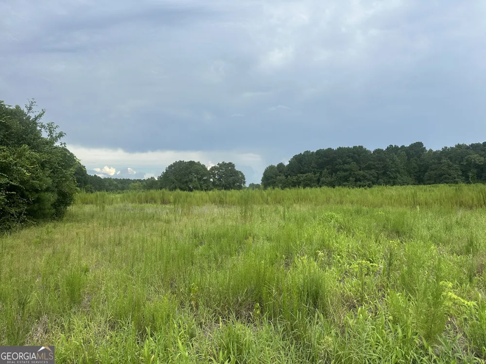 3693 Joyner Oglesby RD Sardis, GA 30456