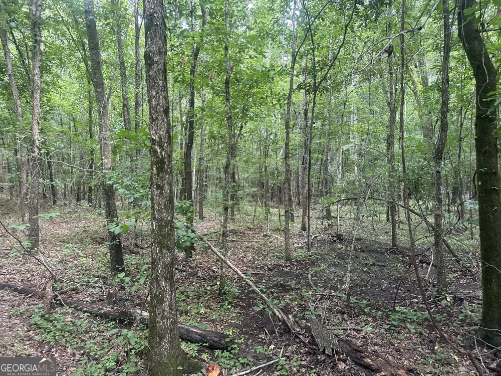 3693 Joyner Oglesby RD Sardis, GA 30456