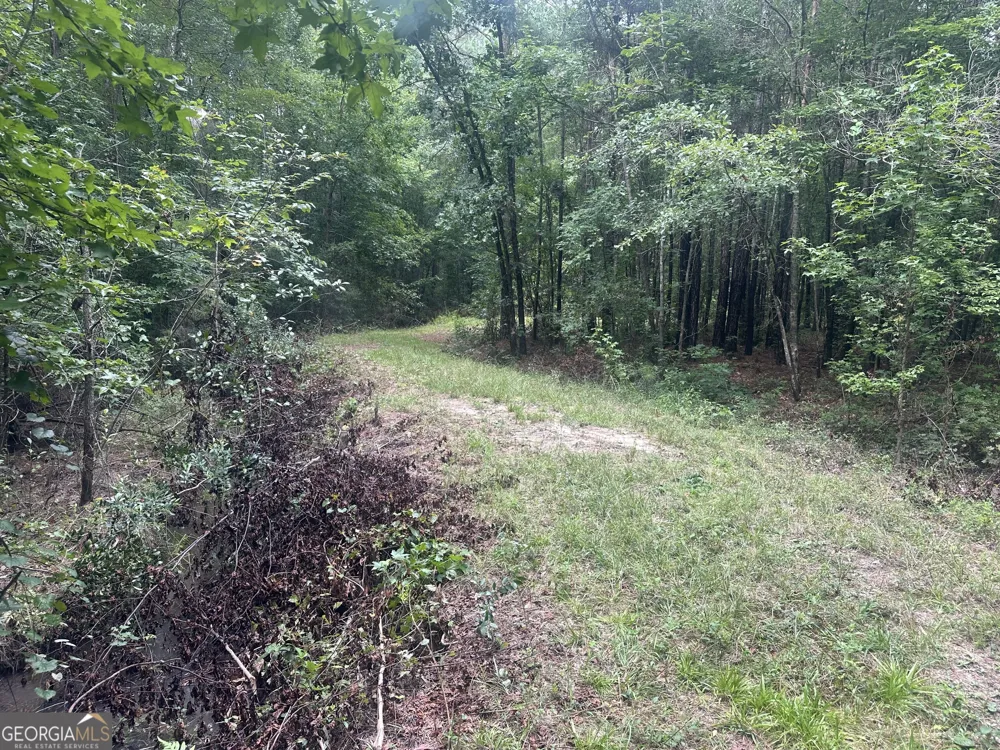 3693 Joyner Oglesby RD Sardis, GA 30456