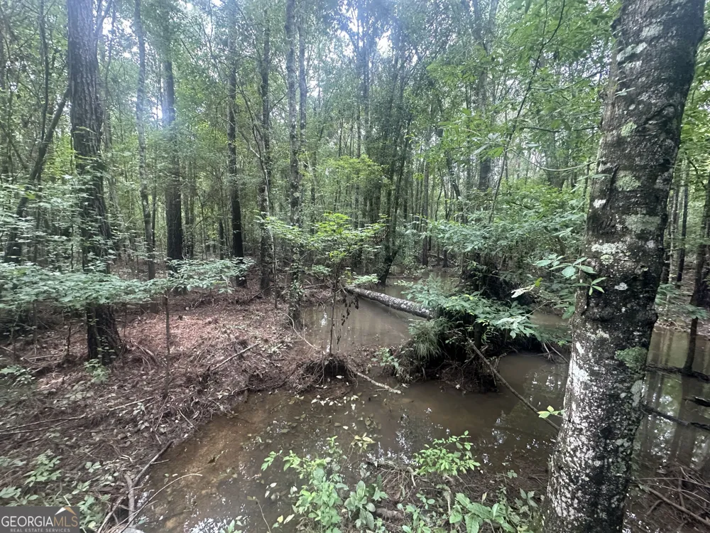 3693 Joyner Oglesby RD Sardis, GA 30456
