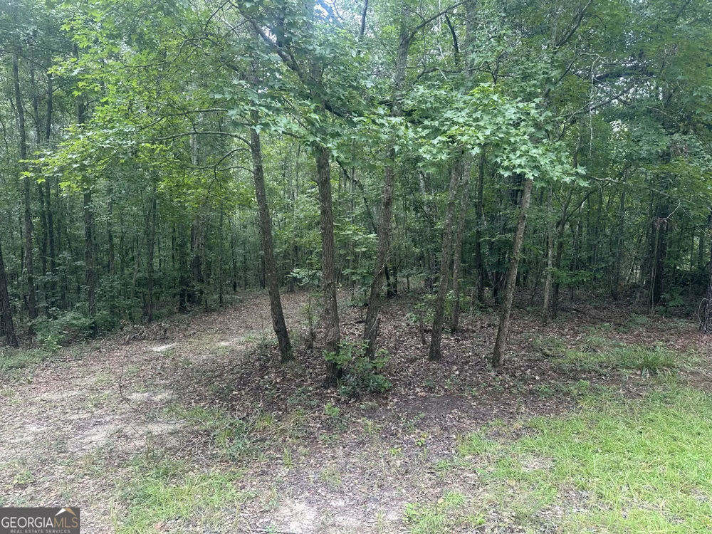 3693 Joyner Oglesby RD Sardis, GA 30456
