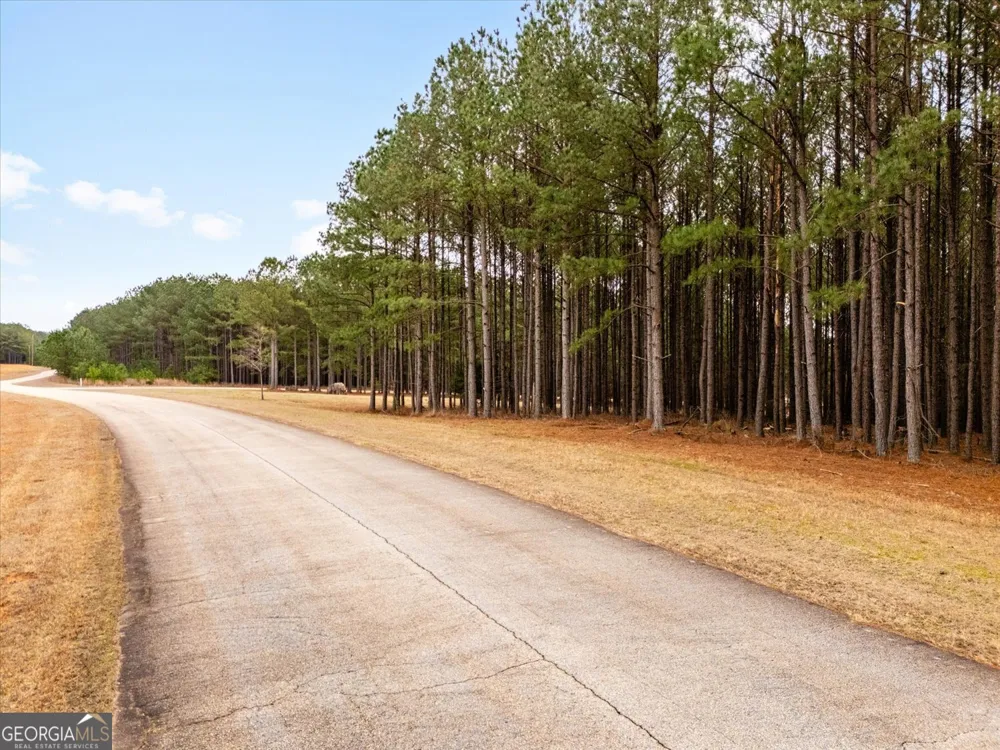 1084 Hesters Ferry RD Tignall, GA 30668