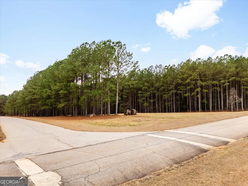 1084 Hesters Ferry RD Tignall, GA 30668