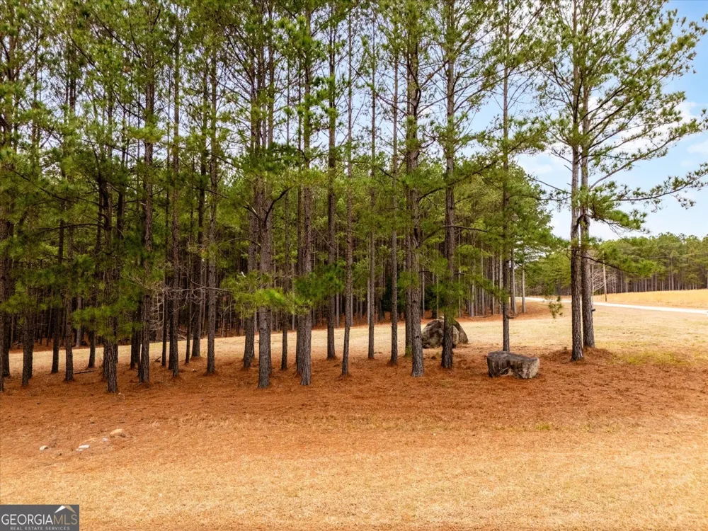 1084 Hesters Ferry RD Tignall, GA 30668