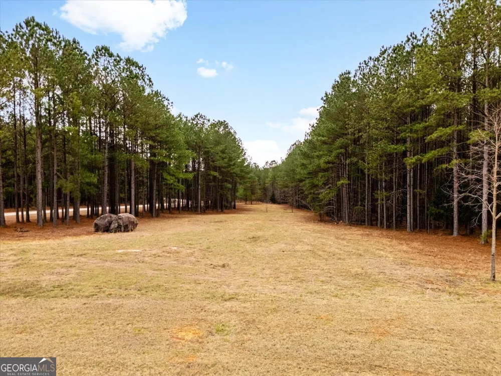 1084 Hesters Ferry RD Tignall, GA 30668