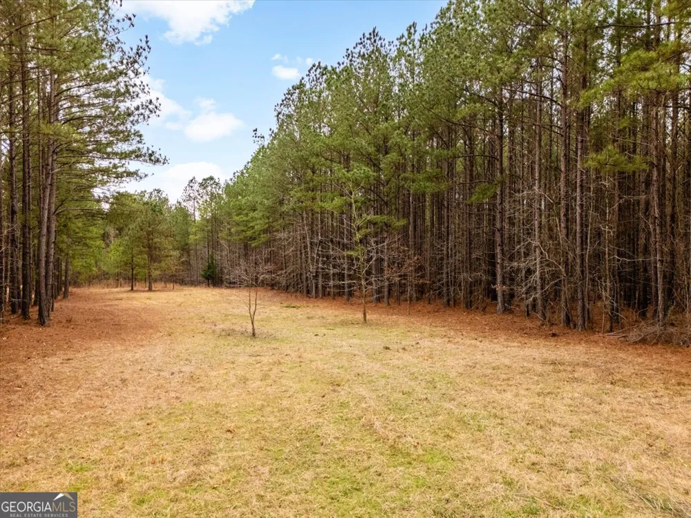 1084 Hesters Ferry RD Tignall, GA 30668