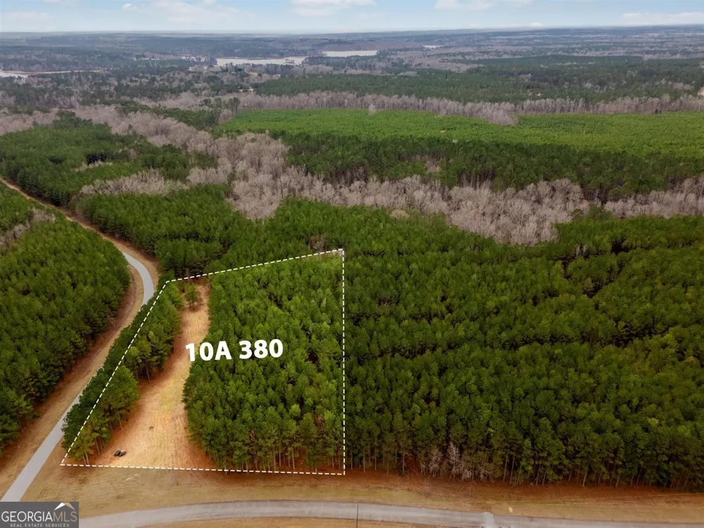1084 Hesters Ferry RD Tignall, GA 30668