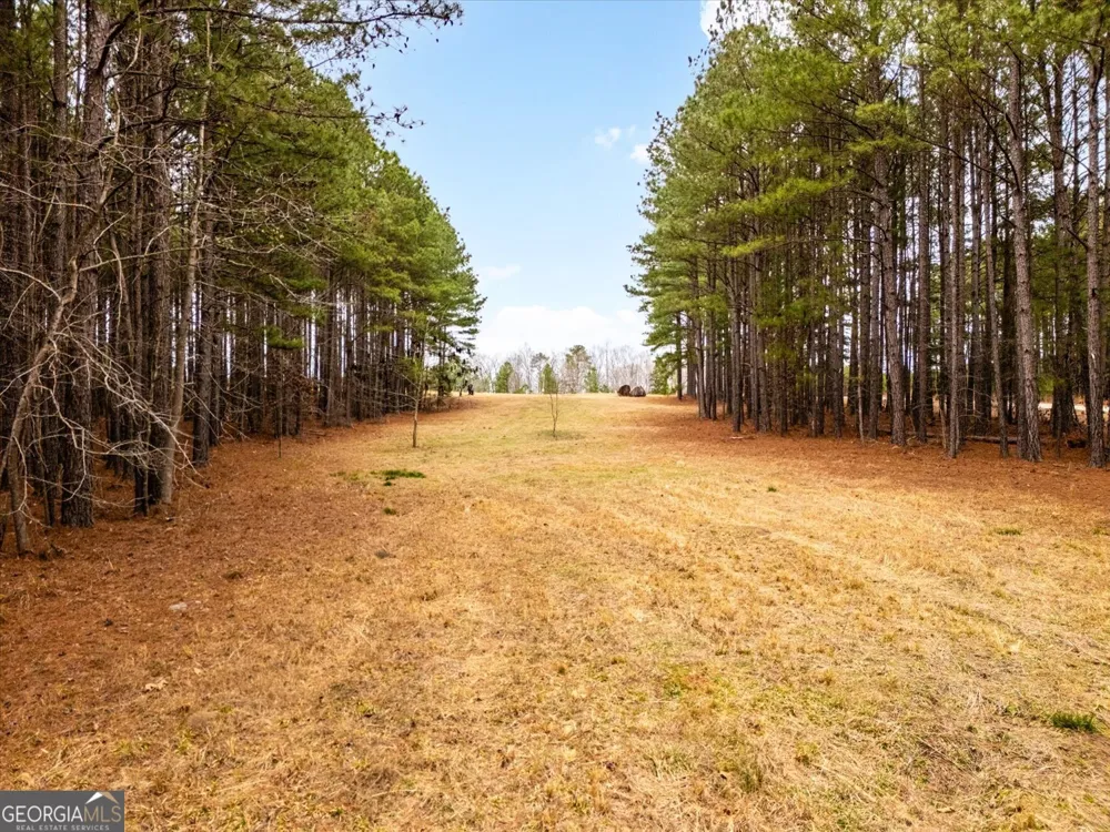 1068 Hesters Ferry RD Tignall, GA 30668