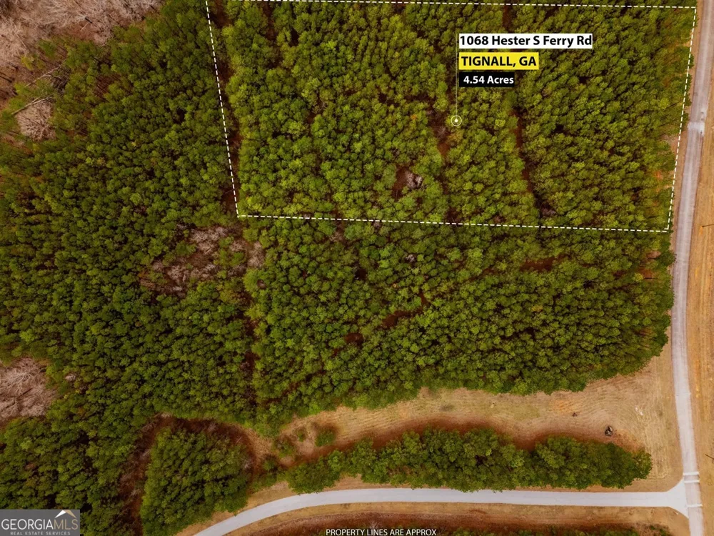 1068 Hesters Ferry RD Tignall, GA 30668