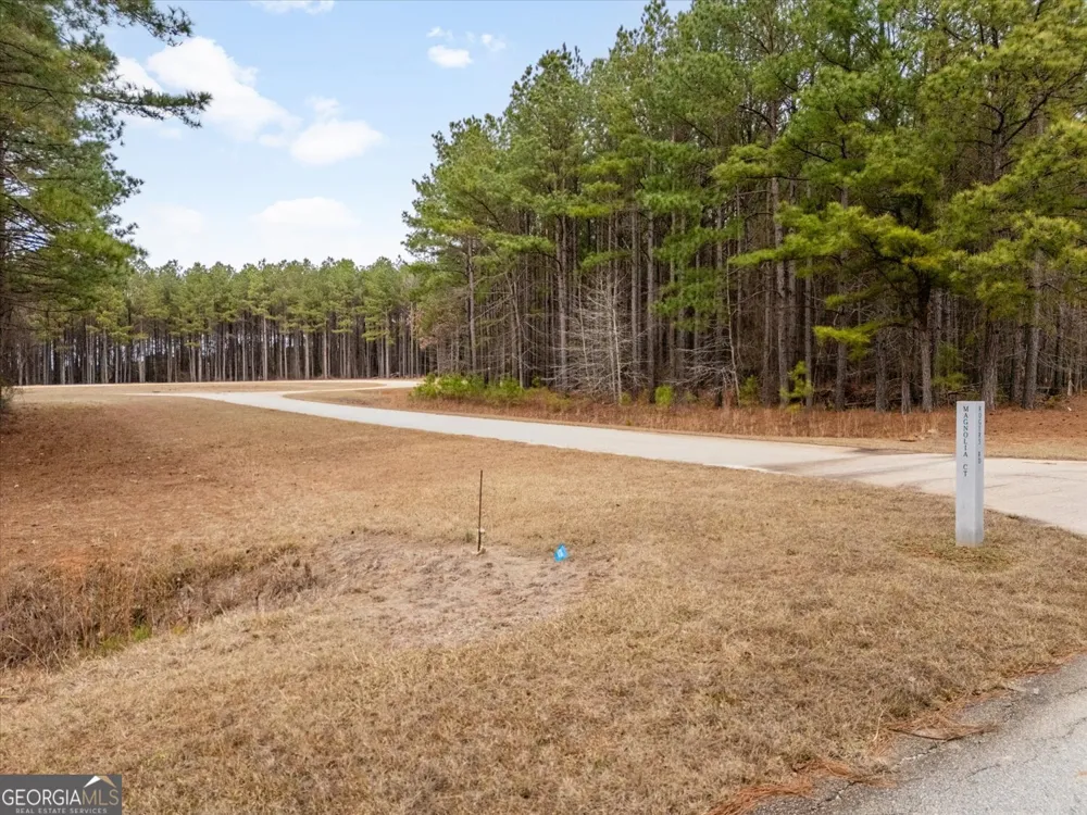 1325 Magnolia CT Tignall, GA 30668
