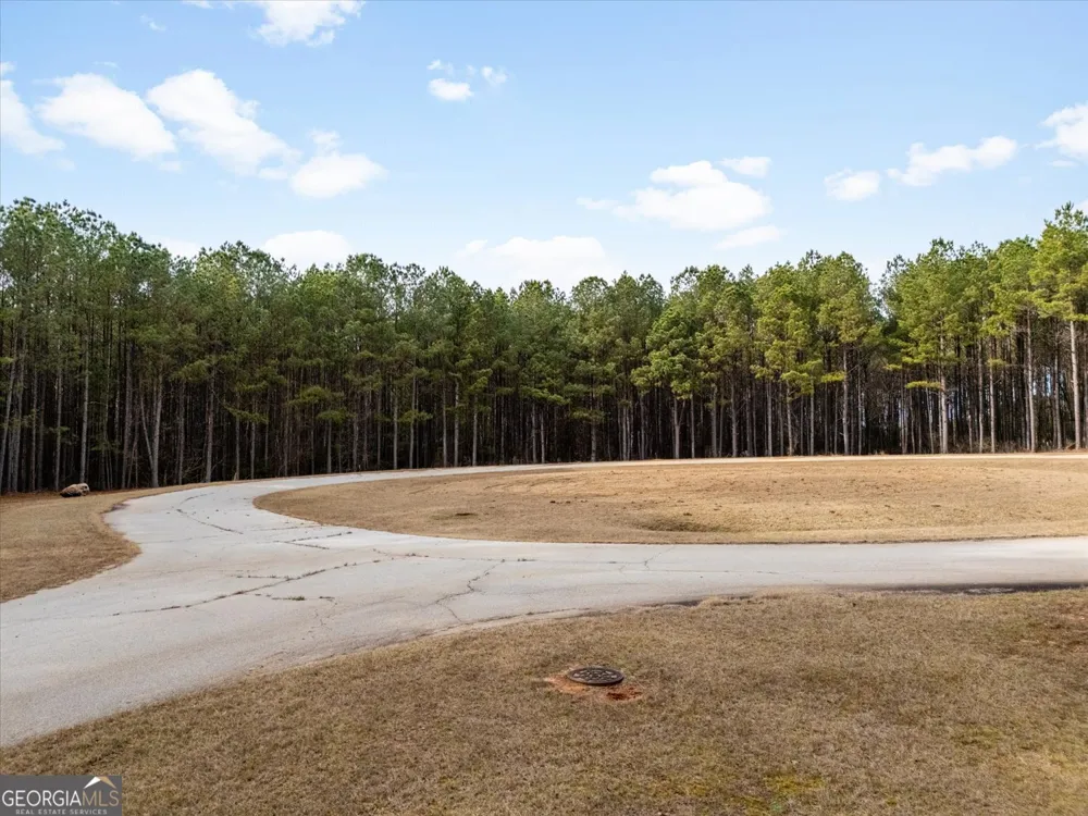 1325 Magnolia CT Tignall, GA 30668