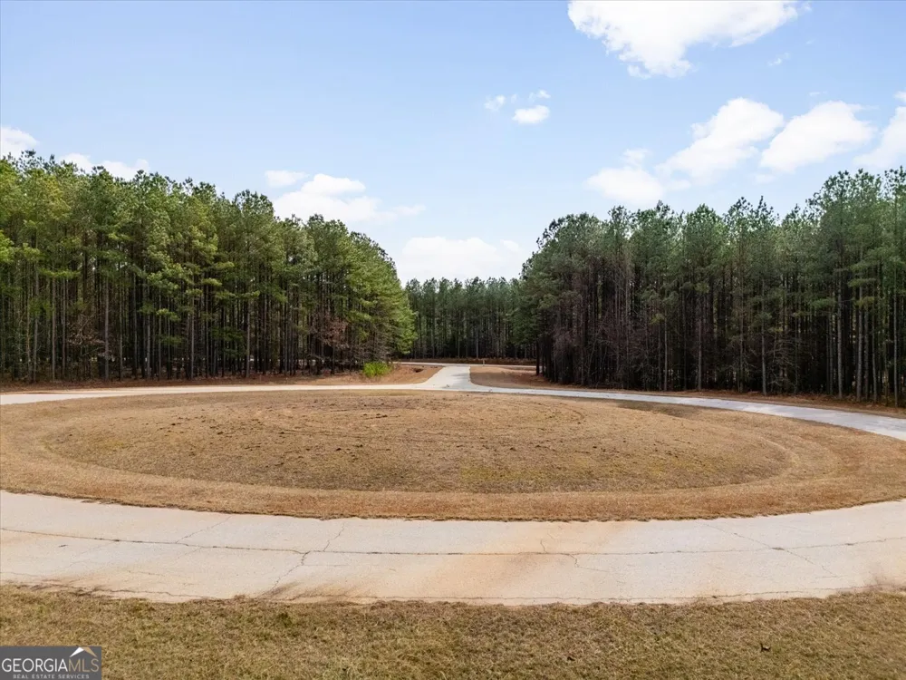 1325 Magnolia CT Tignall, GA 30668