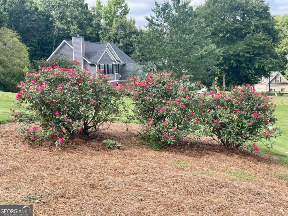 930 Vinings DR Winder, GA 30680