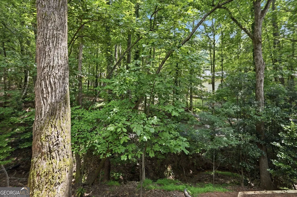 110 Bitternut CIR Roswell, GA 30076
