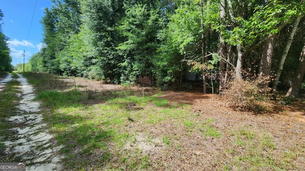0 Martin WAY Waynesboro, GA 30830
