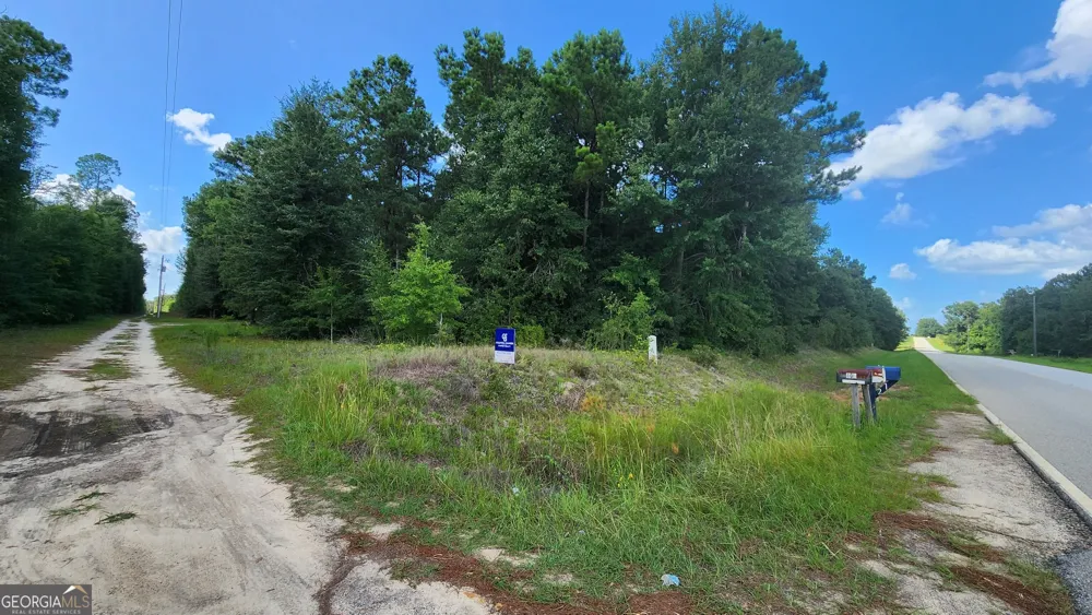 0 Martin WAY Waynesboro, GA 30830