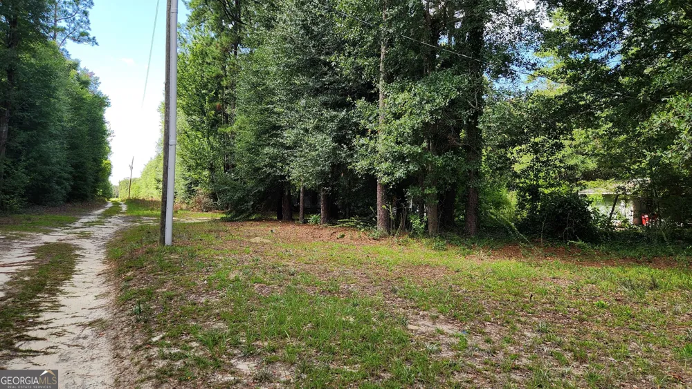 0 Martin WAY Waynesboro, GA 30830