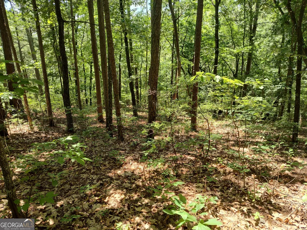 560 Neptune CIR Ranger, GA 30734