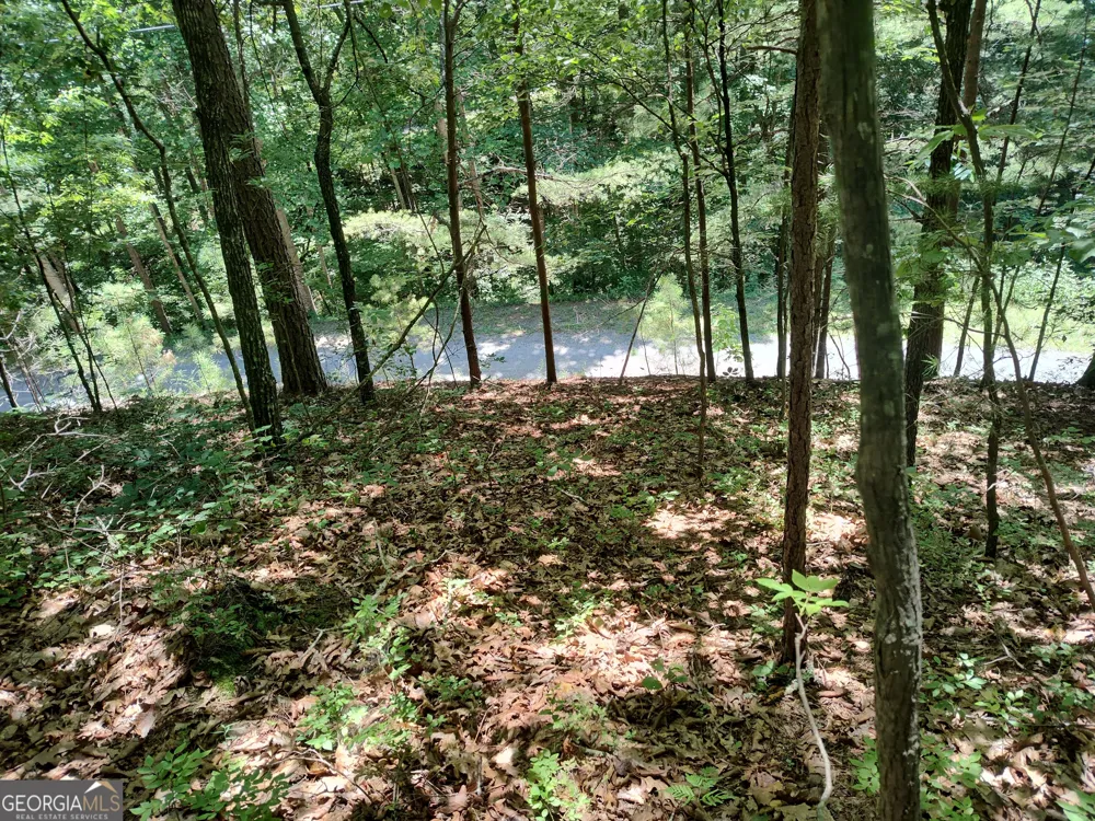 560 Neptune CIR Ranger, GA 30734