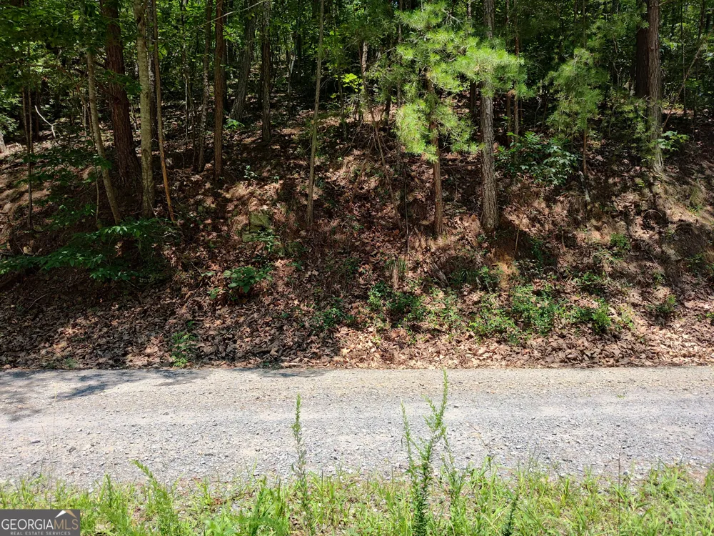 560 Neptune CIR Ranger, GA 30734