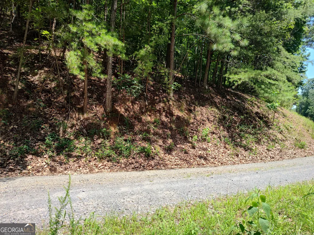 560 Neptune CIR Ranger, GA 30734