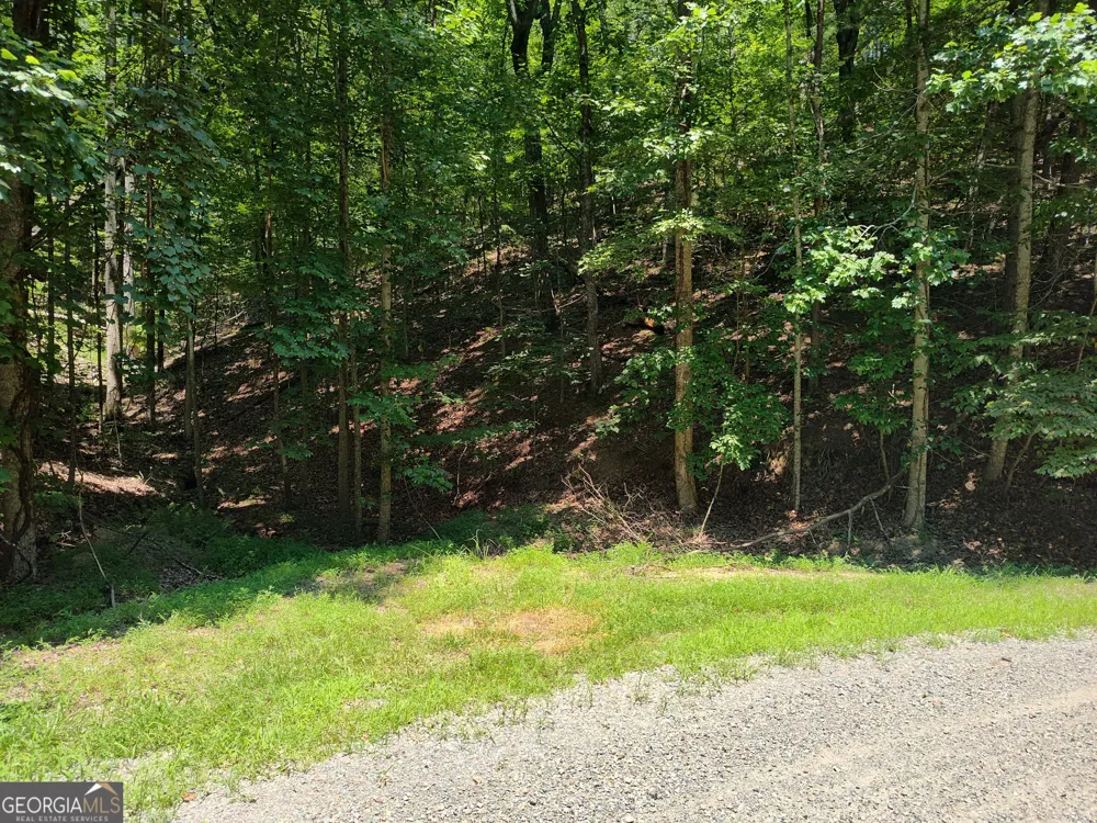 560 Neptune CIR Ranger, GA 30734