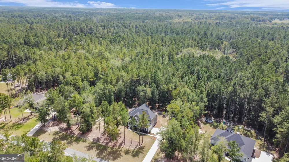 149 Windmill Plantation DR Statesboro, GA 30461