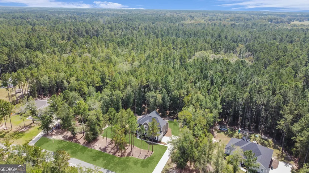 149 Windmill Plantation DR Statesboro, GA 30461