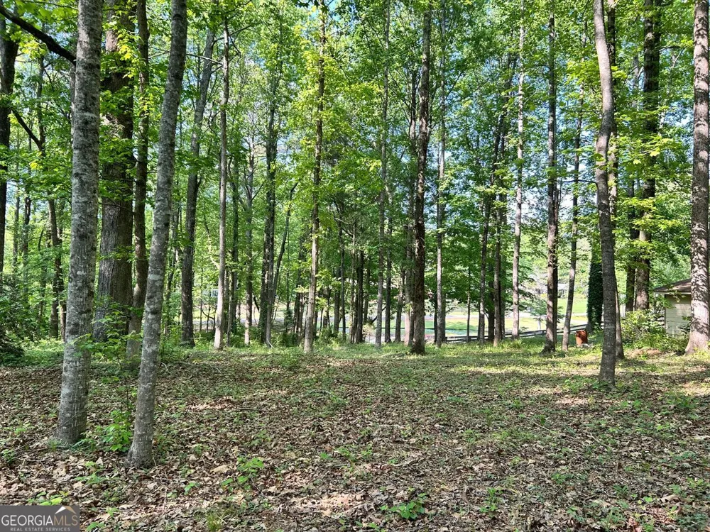 5219 Union Hill #3 Alpharetta, GA 30004