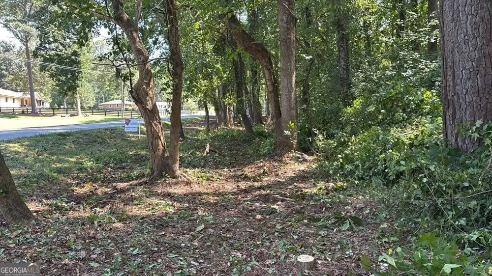 5219 Union HL Alpharetta, GA 30004