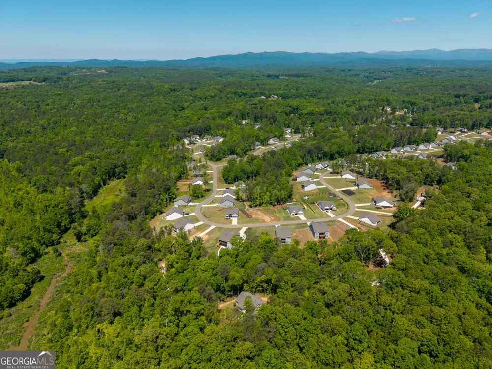 483 Linger Longer DR Ellijay, GA 30540