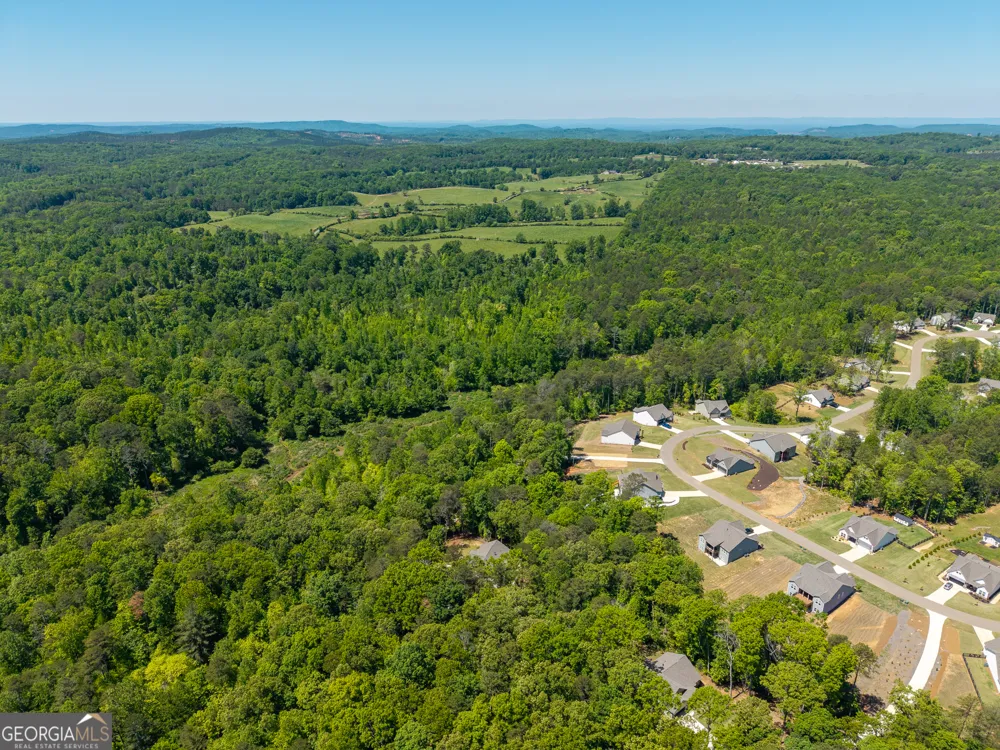 483 Linger Longer DR Ellijay, GA 30540