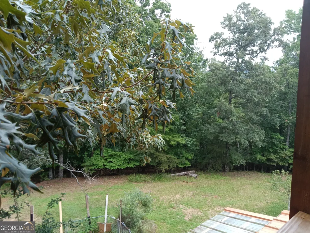 852 Martin DR Cleveland, GA 30528