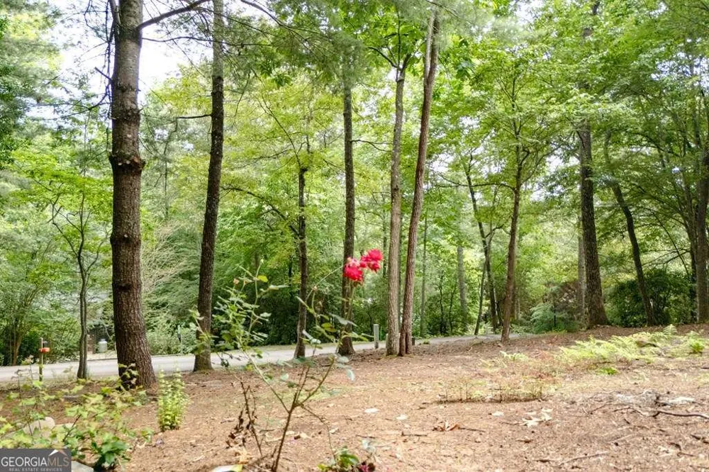 169 Autumn LN Blairsville, GA 30512