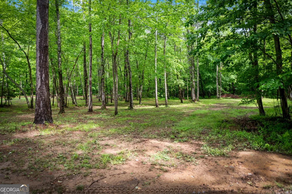 704 Town Creek Church RD Talking Rock, GA 30175