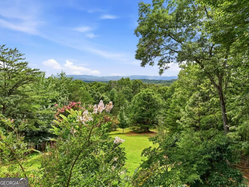 516 Endless View RD Mineral Bluff, GA 30559