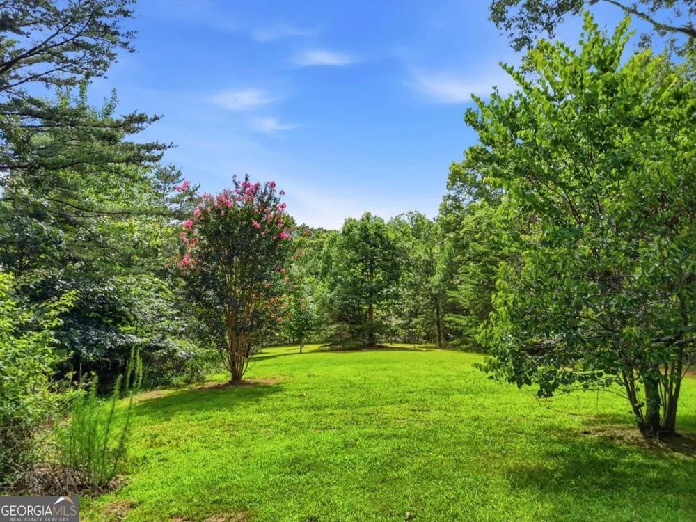 516 Endless View RD Mineral Bluff, GA 30559