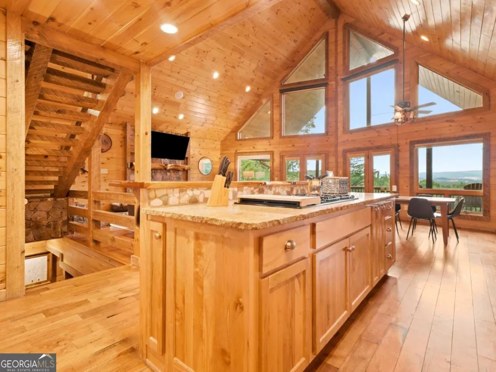 516 Endless View RD Mineral Bluff, GA 30559