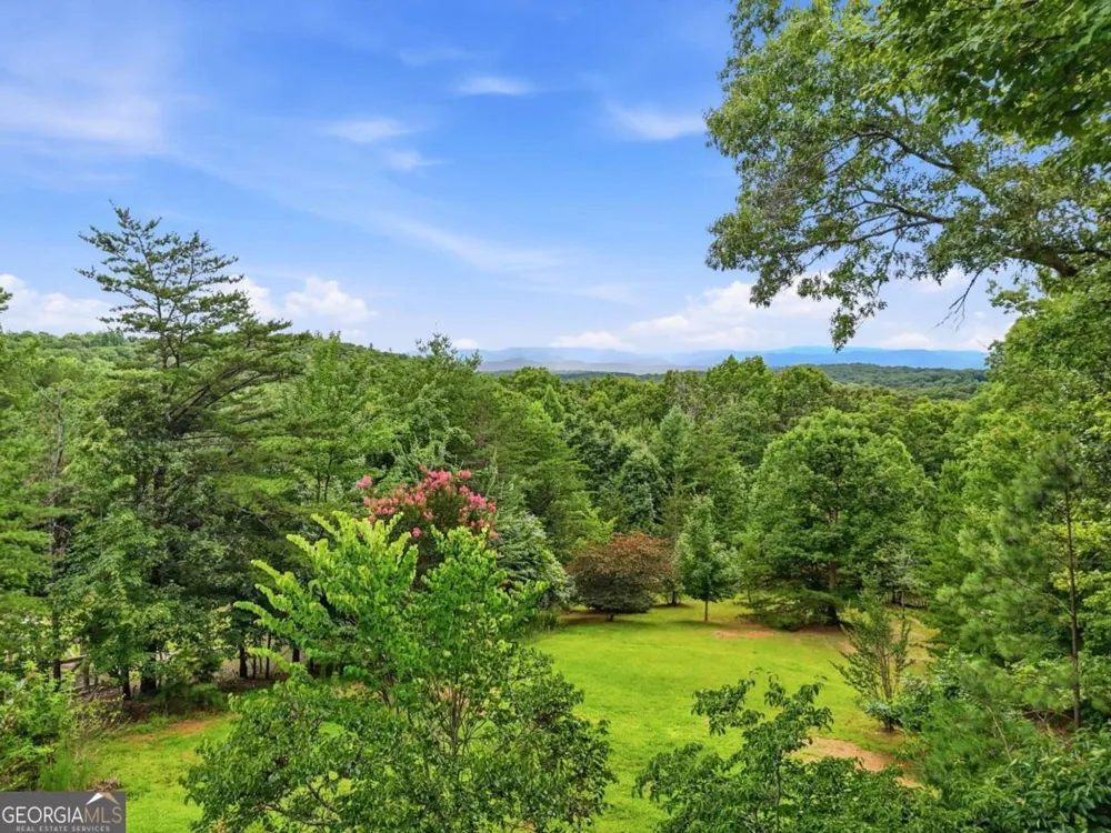 516 Endless View RD Mineral Bluff, GA 30559