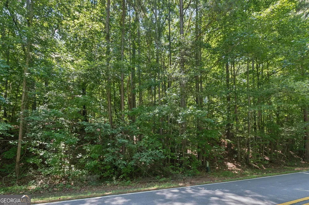0 Griffin Mountain TRL NE Conyers, GA 30013