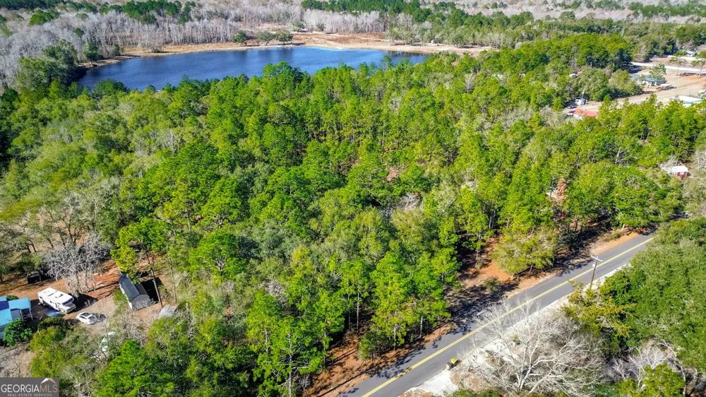 0 Holly DR Eden, GA 31307