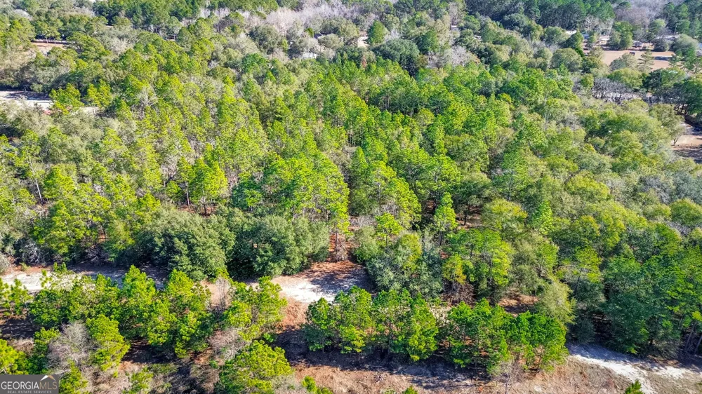 0 Holly DR Eden, GA 31307