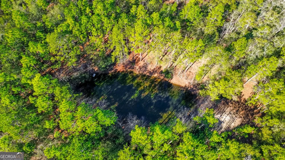 0 Holly DR Eden, GA 31307