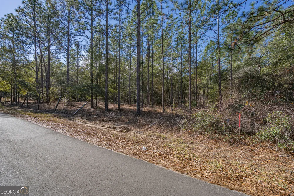 0 Holly DR Eden, GA 31307