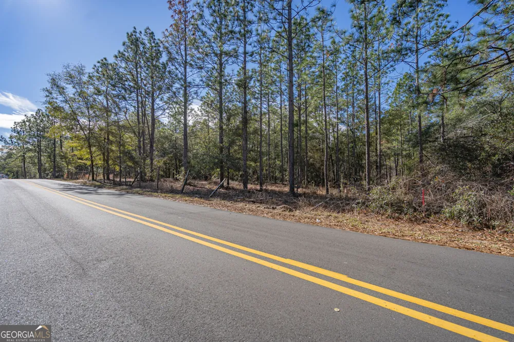 0 Holly DR Eden, GA 31307