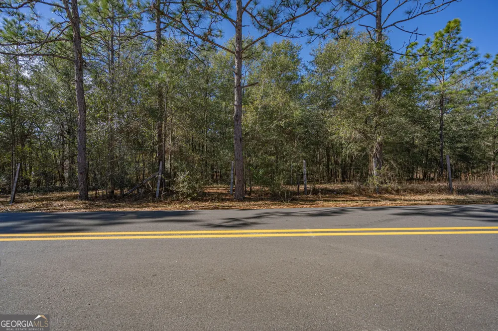 0 Holly DR Eden, GA 31307