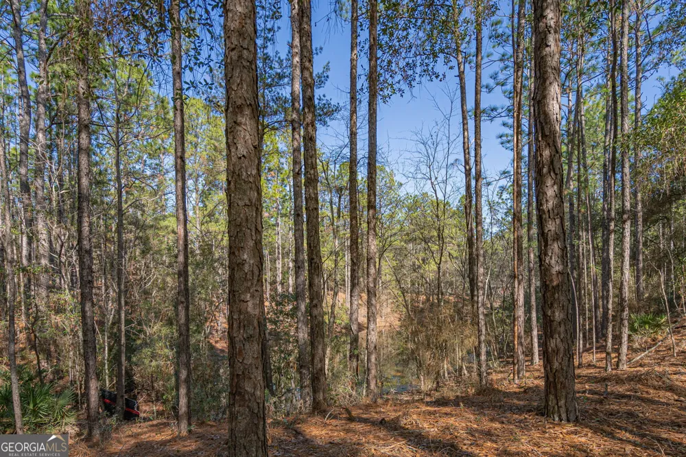0 Holly DR Eden, GA 31307