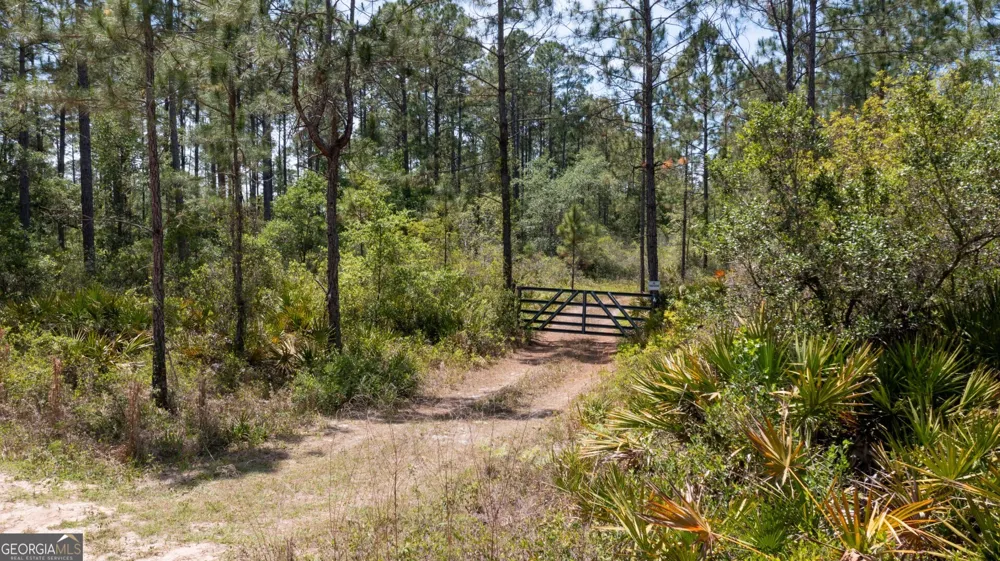 779 Ralph Davis RD Folkston, GA 31537