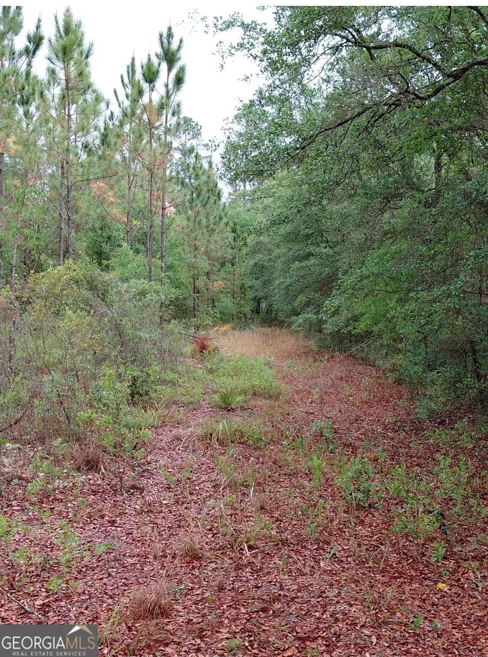 779 Ralph Davis RD Folkston, GA 31537