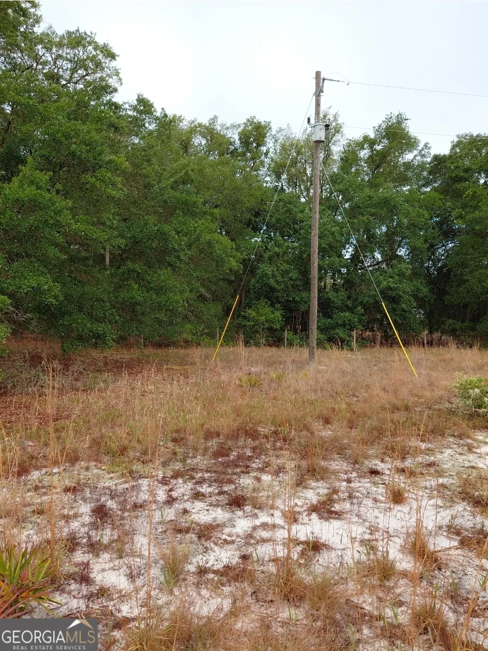 779 Ralph Davis RD Folkston, GA 31537